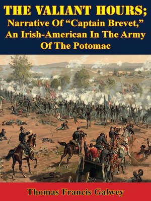 cover image of The Valiant Hours